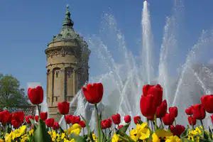 Brunnen mit Fontänen vor einem steinernen Turm, im Vordergrund rote und gelbe Tulpen im Blumenbeet.