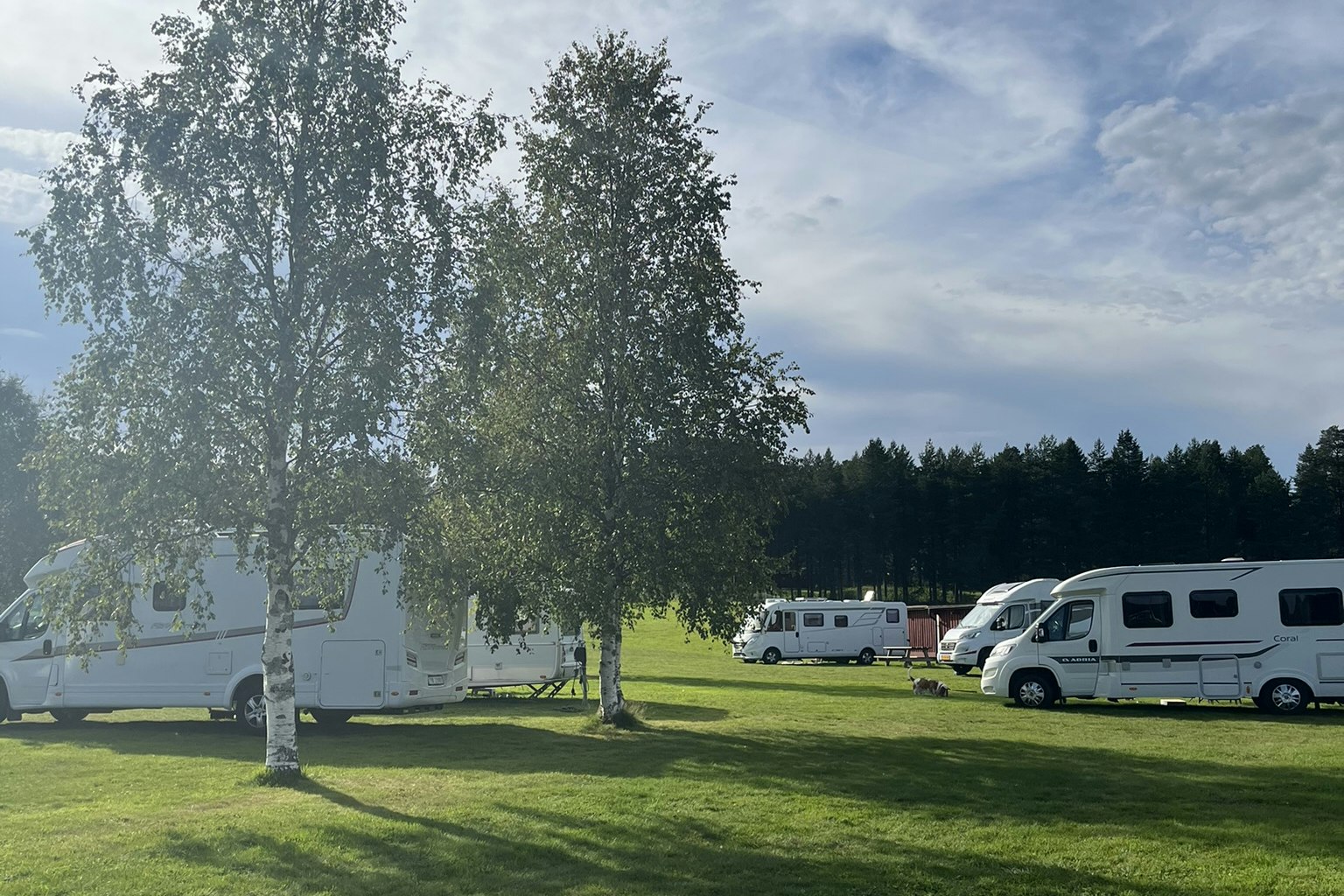Camping Strömsund - Wohnmobil- und Wohnwagenstandplätze auf der Wiese