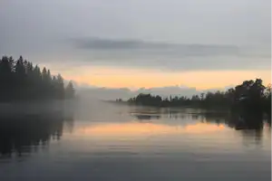 Ruhiger See mit Spiegelungen, Wald am Ufer und Nebel am Morgenhimmel.