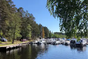 Hafen mit Stegen und vielen Booten am ruhigen Wasser, umgeben von hohen Bäumen und einem Weg am Ufer.