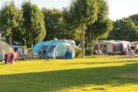 Camping Südstrand - Stellplätze im Schatten unter Bäumen auf dem Campingplatz an der Ostsee bei Fehmarn