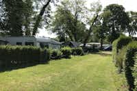 Camping Süduferperle - Gepflegte Wohnwagenstellplätze auf grüner Wiese auf dem Campingplatz