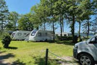 Campingplatz Süduferperle - Stellplätze im Grünen