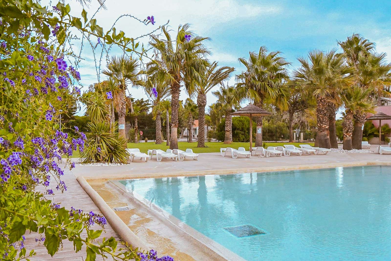 Camping-Pool mit Palmen und lila Blüten, Liegen am Beckenrand und gepflegtem Rasen im Hintergrund.