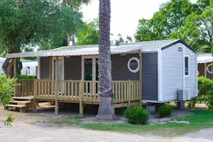 Bungalow mit Holzveranda und großen Fenstern, davor Kiesweg und Palmenstamm, umgeben von Büschen und Bäumen.