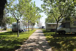 Wohnmobile stehen auf einem Campingplatz entlang eines schmalen Weges, umgeben von Bäumen und Rasen.