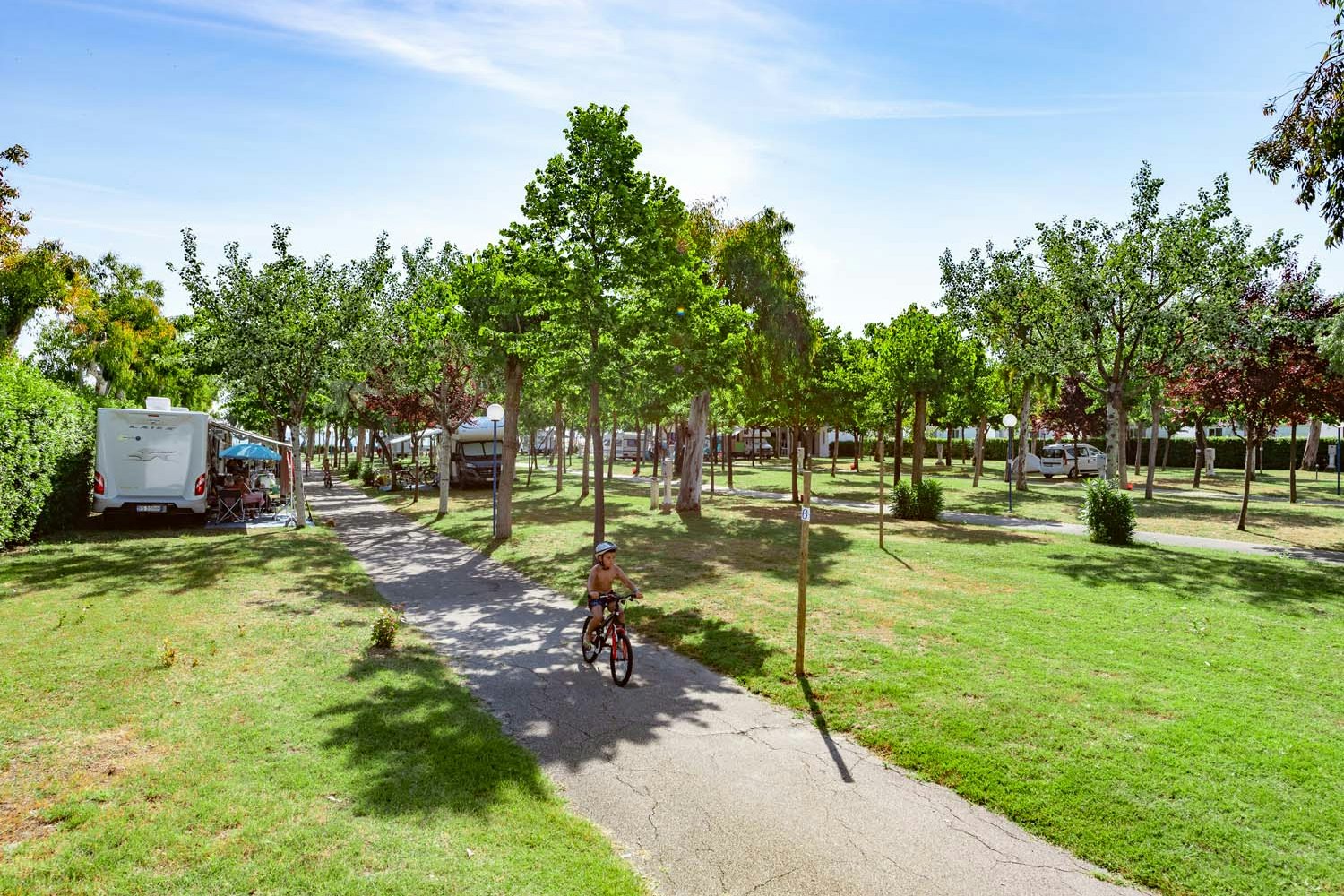 Camping Surabaja La Playa - Blick auf die Standplätze unter vereinzelten Bäumen