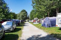 Camping Swiss-Plage - Campingbereich