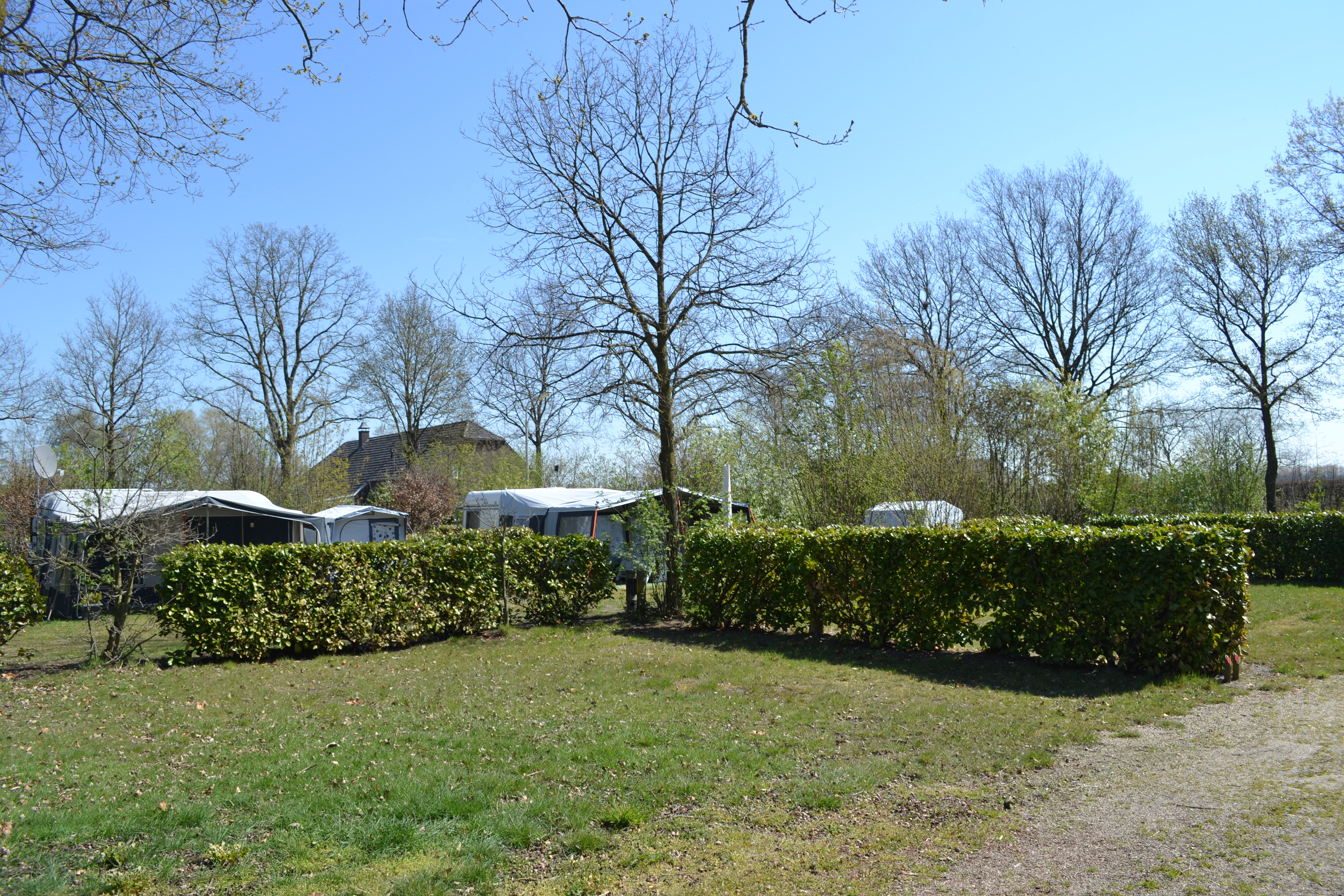 Camping `t Buuteland