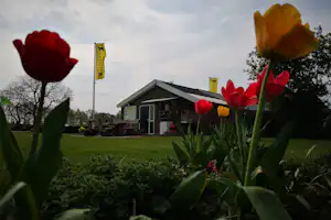 Camping 't Haller - Blick auf den Campingplatz im Grünen