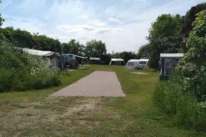 Camping 't Hofje van Hoog-Zuthem - Standplätze auf dem Campingplatz