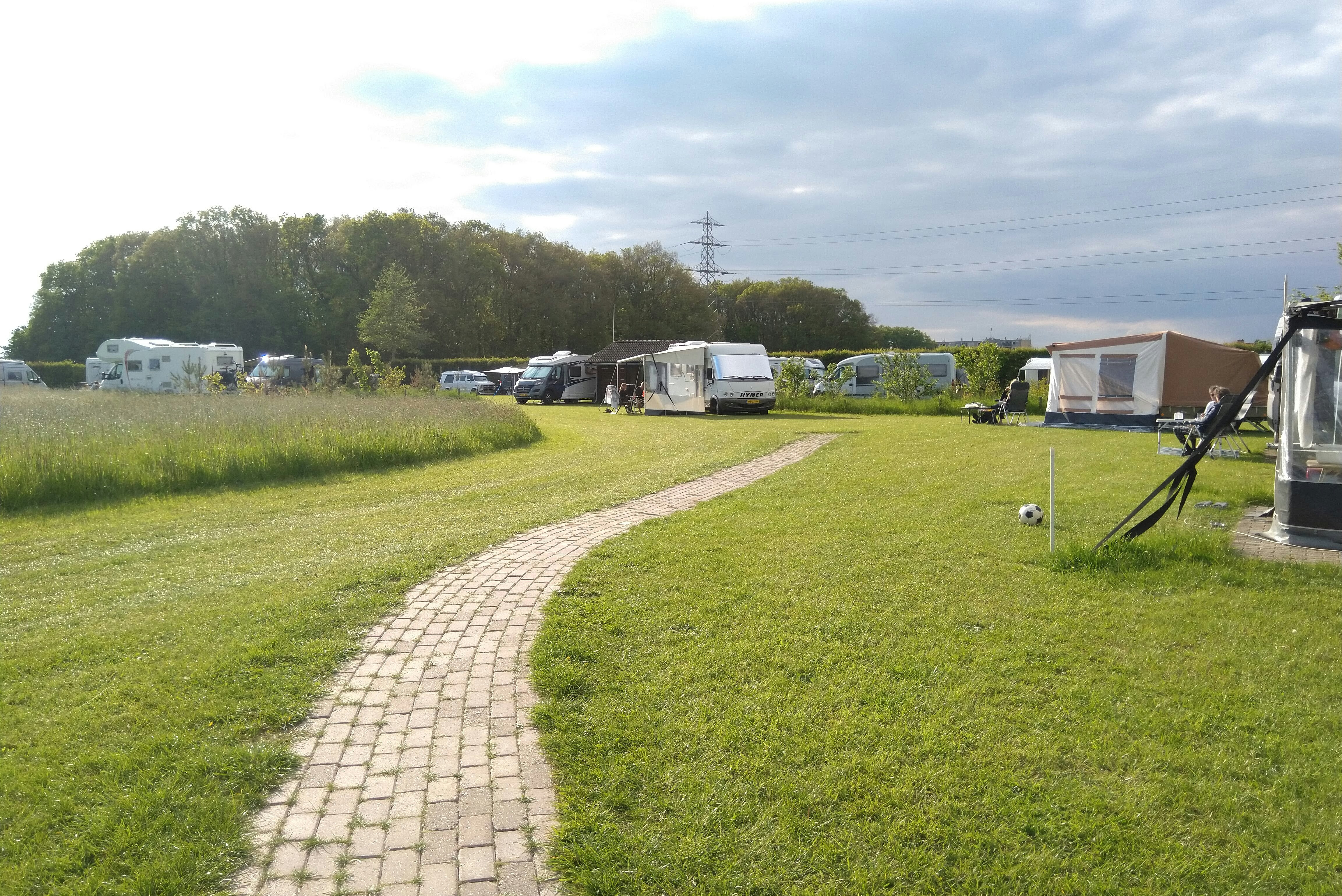 Camping 't Hofje van Hoog-Zuthem - Standplatzwiese auf dem Campingplatz