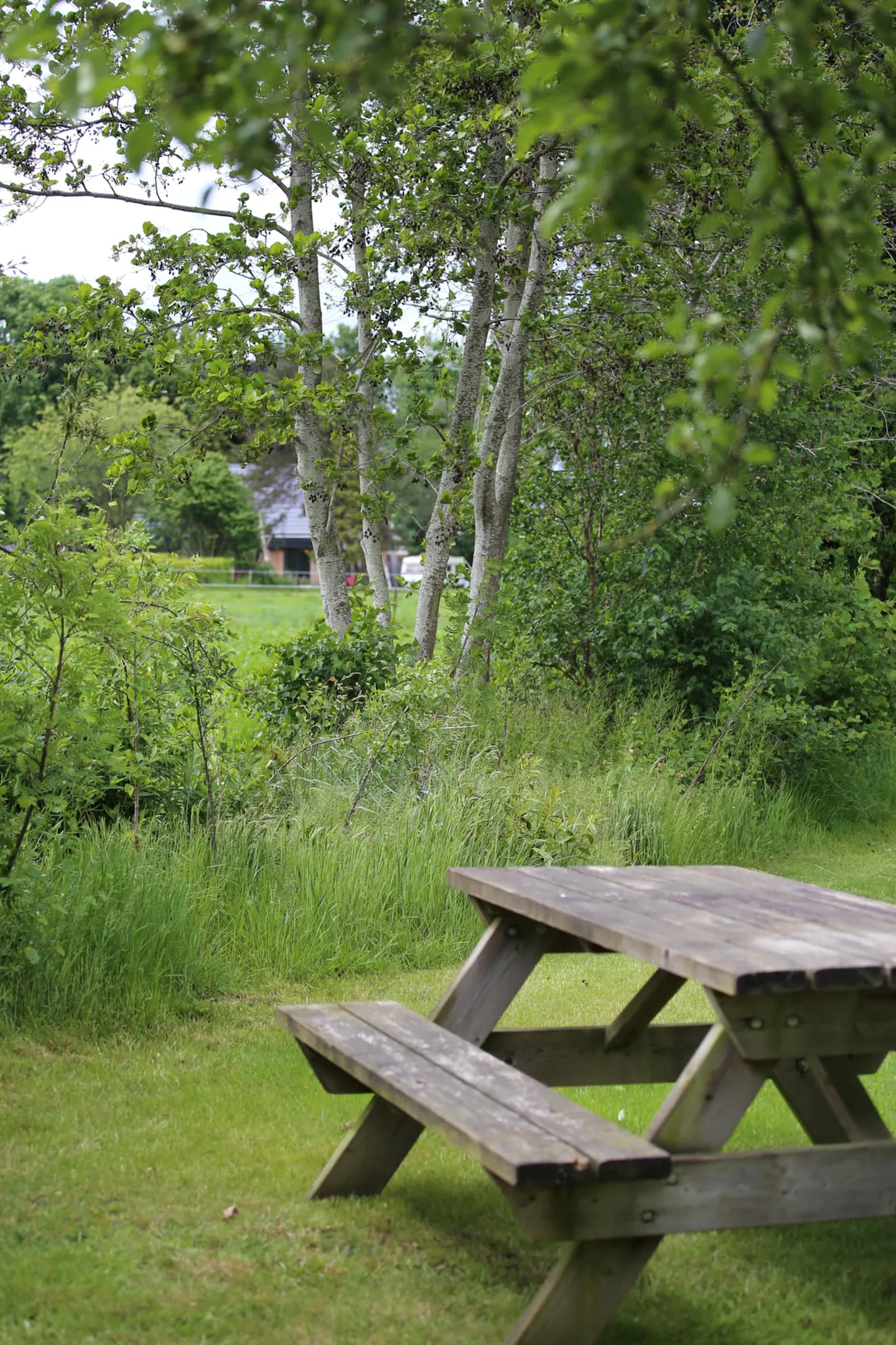 Camping 't Hofje