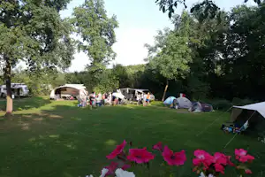 Camping 't Kopske - Wohnwagen- und Zeltstellplatz vom Campingplatz auf grüner Wiese
