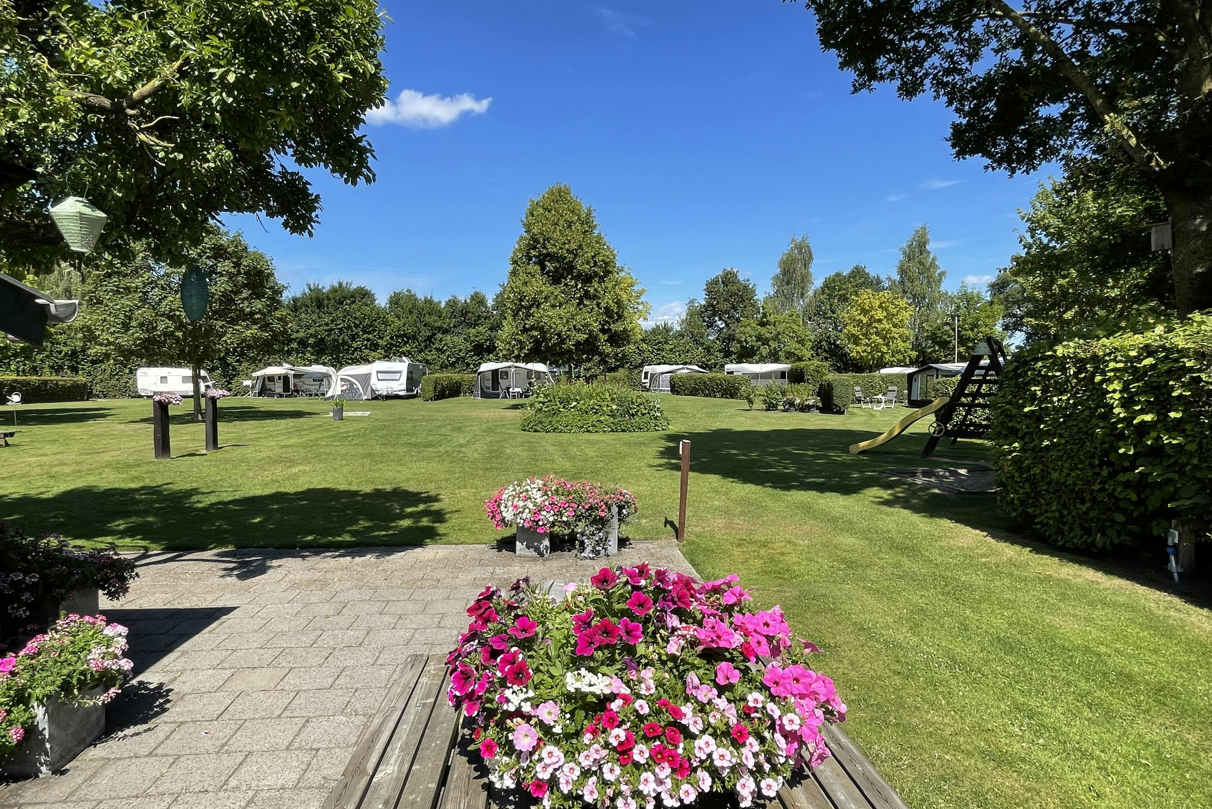 Camping 't Linderhof - Standplatzwiese auf dem Campingplatz