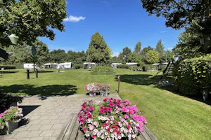 Camping 't Linderhof - Standplatzwiese auf dem Campingplatz