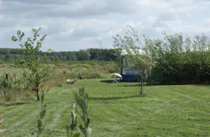 Camping 't Oudewillemsveldt