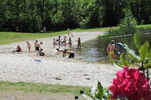 Camping 't Plathuis - Baden am Teich am Campingplatz