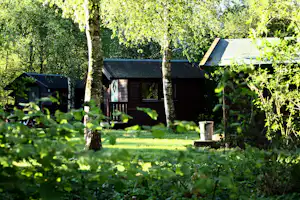 Holzhütte auf dem Campingplatz im Grünen, umgeben von Bäumen und Rasen, mit kleiner Veranda und Eingangstür.