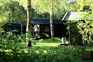 Camping 't Plathuis - Mobilheime zwischen Bäumen auf dem Campingplatz