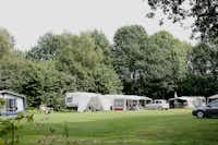 Camping 't Plathuis  -  Wohnwagen- und Zeltstellplatz auf grüner Wiese auf dem Campingplatz