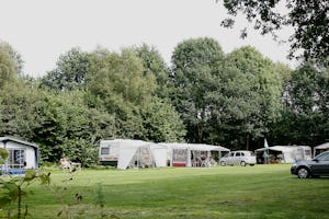 Camping 't Plathuis - Wohnwagen- und Zeltstellplatz auf grüner Wiese auf dem Campingplatz