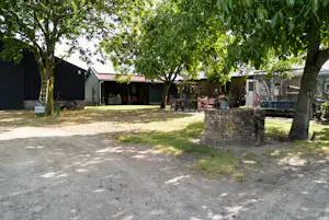 Camping 't Rouweelse Veld - Blick auf den Campingplatz