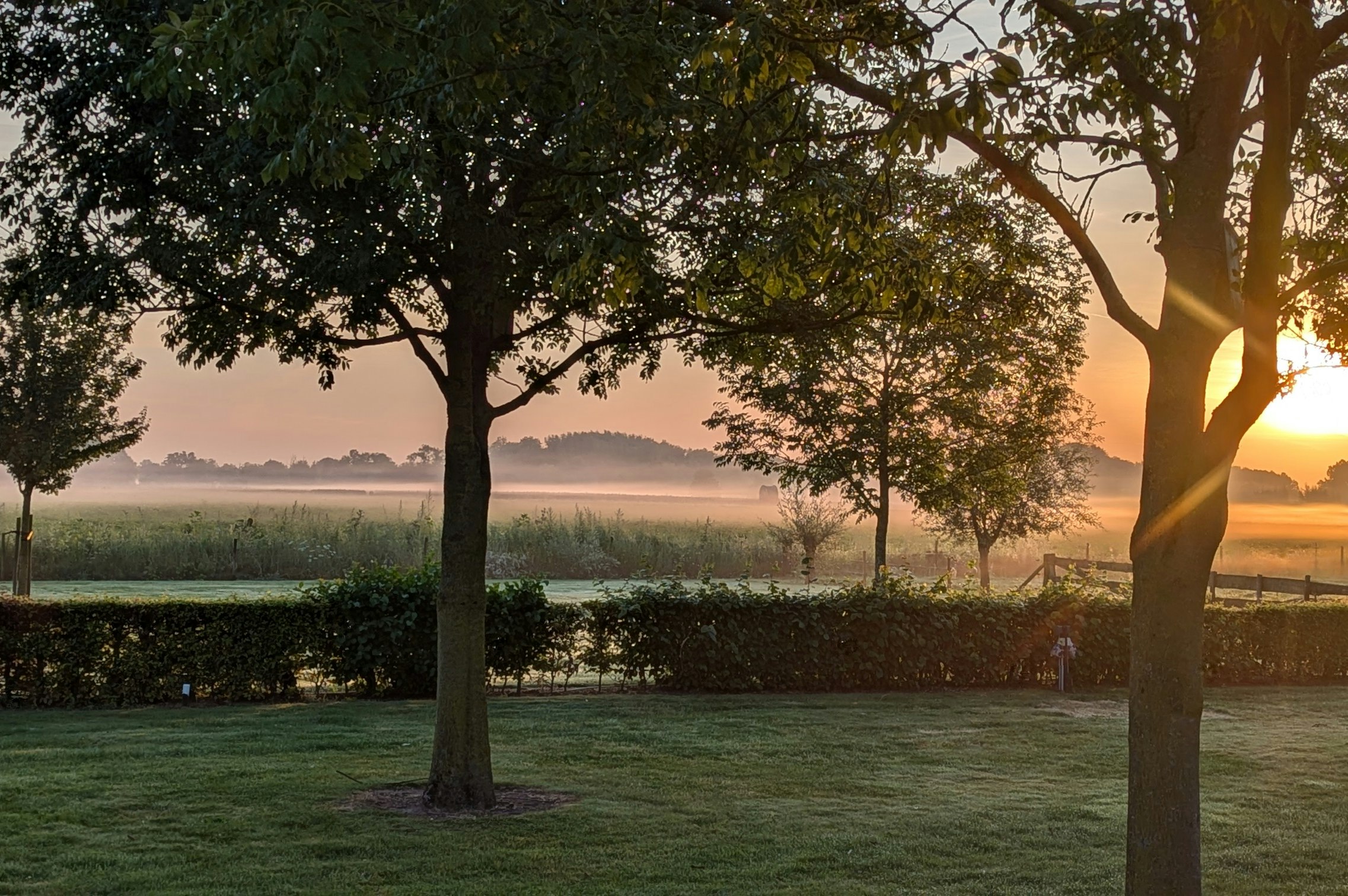 Camping 't Rouweelse Veld - Sonnenaufgang über dem Campingplatz