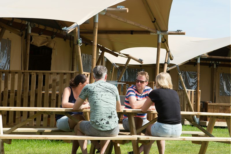 Camping 't Veld (foto 1, bron: ANWB Camping)