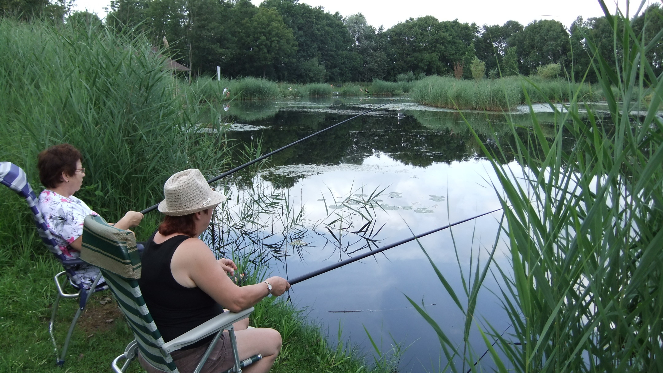 Camping 't Vossenveld