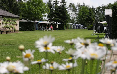 Camping 't Vossenveld