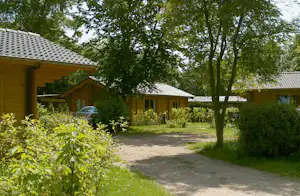 Camping 't Wieskamp - Mobilheime im Grünen