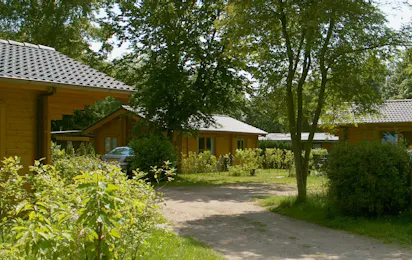 Vakantiepark Capfun Wieskamp