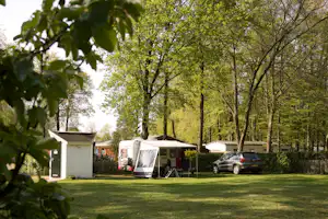 Camping 't Wieskamp - Stellplätze im Halbschatten auf der Wiese