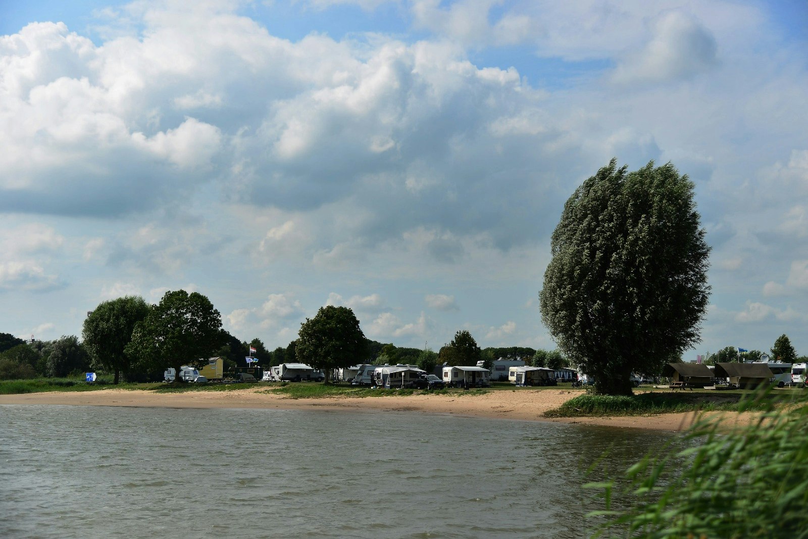 Stadscamping Schoonhoven  Camping 't Wilgerak - Blick auf die Standplätze vom Wasser aus gesehen