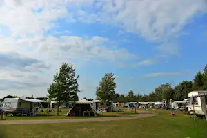 Stadscamping Schoonhoven Camping 't Wilgerak - Standplätze auf der Wiese auf dem Campingplatz
