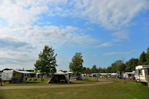 Stadscamping Schoonhoven Camping 't Wilgerak - Standplätze auf der Wiese auf dem Campingplatz