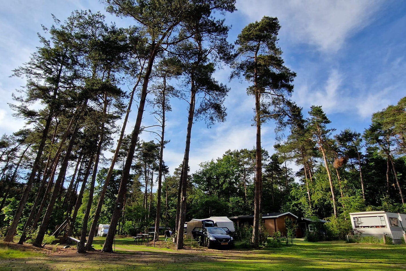 Camping 't Witte Zand - Twente
