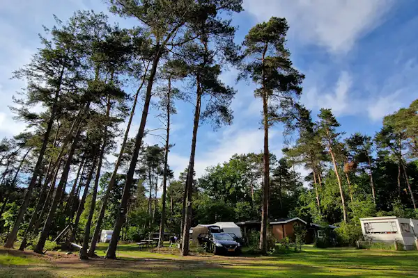 Camping 't Witte Zand - Twente