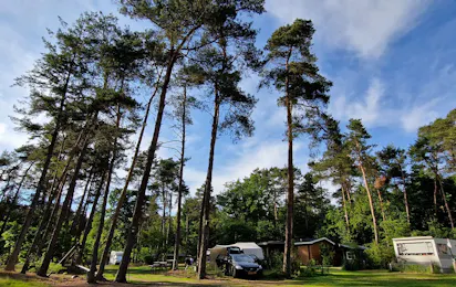 Camping 't Witte Zand - Twente