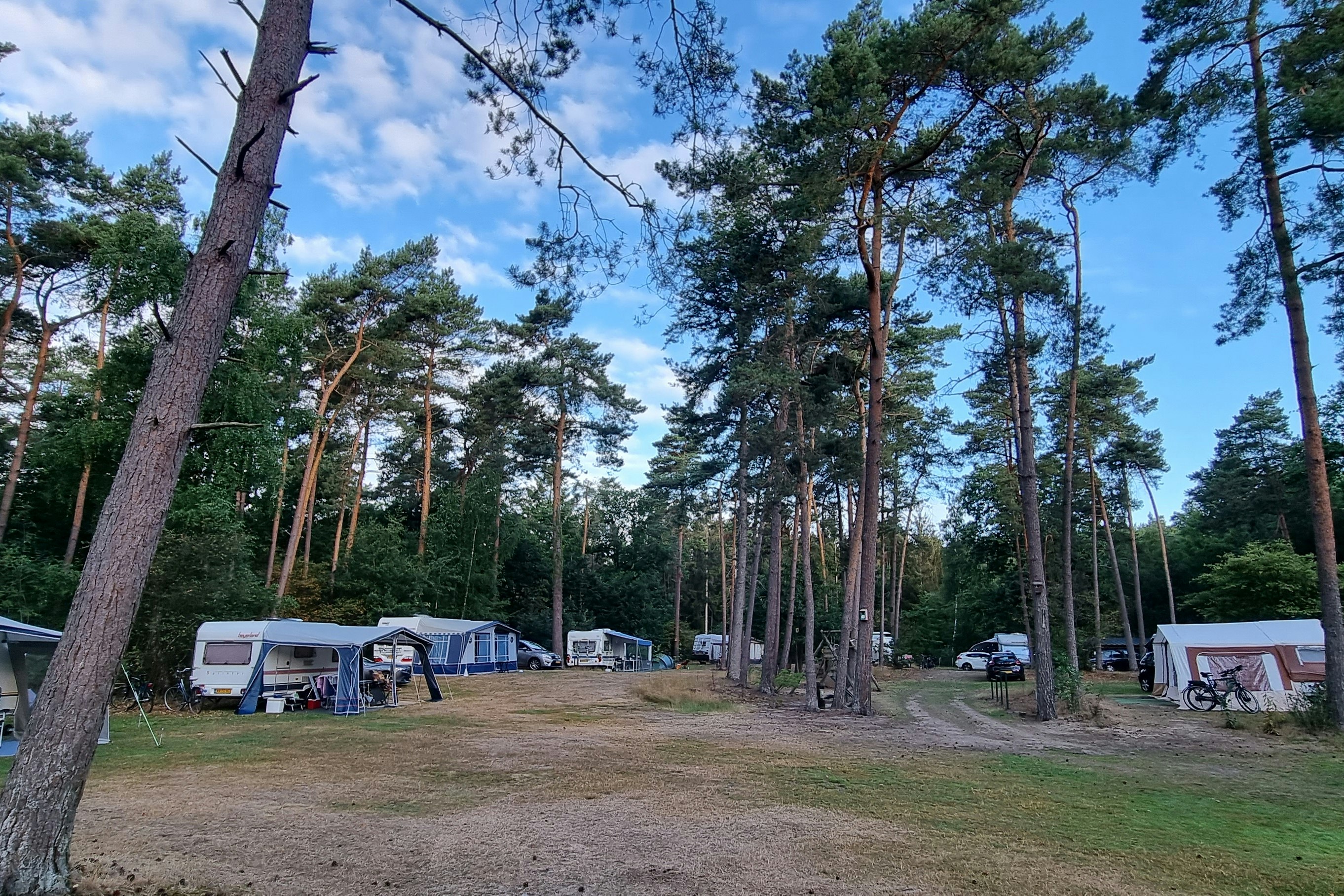Camping 't Witte Zand - Twente  - Stellplätze auf dem Campingplatz
