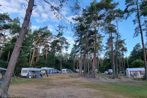 Camping 't Witte Zand - Twente - Stellplätze auf dem Campingplatz