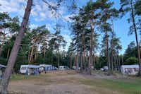 Camping 't Witte Zand - Twente  - Stellplätze auf dem Campingplatz