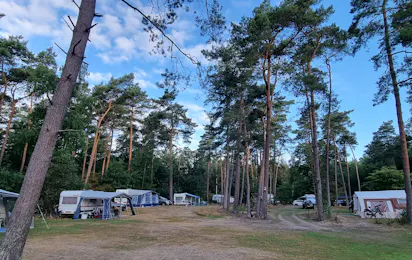 Camping 't Witte Zand - Twente