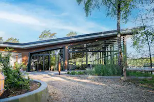 Moderner Camping-Bungalow mit großer Glasfront, Kiesweg und Terrasse, umgeben von Bäumen und Sträuchern im Außenbereich.