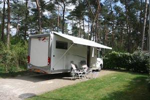 Camping 't Zand - Standplätze auf dem Campingplatz