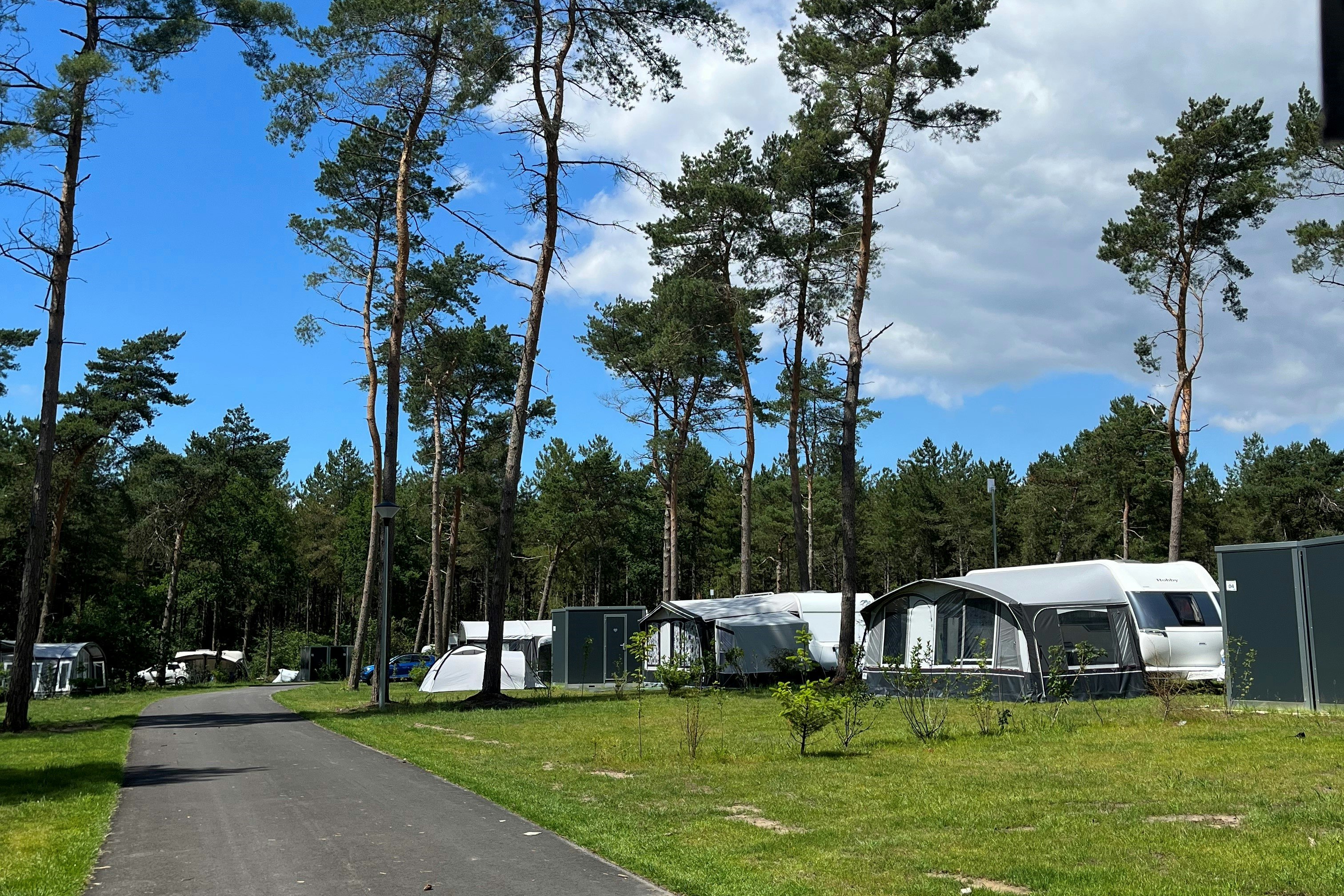 Campingplatz mit Wohnwagen und Zelten auf Stellplätzen zwischen hohen Bäumen, asphaltierter Weg und grüne Wiese im Vordergrund.