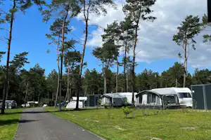 Campingplatz mit Wohnwagen und Zelten auf Stellplätzen zwischen hohen Bäumen, asphaltierter Weg und grüne Wiese im Vordergrund.