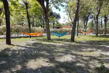 Camping Taimi