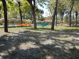Camping Taimi - Hängematten auf dem Campingplatz